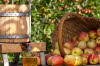 Apfelwein