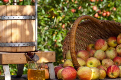 Apfelwein