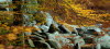 Felsenmeer_odenwald
